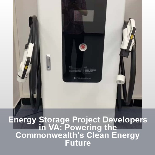 Energy Storage Project Developers in VA: Powering the Commonwealth's Clean Energy Future